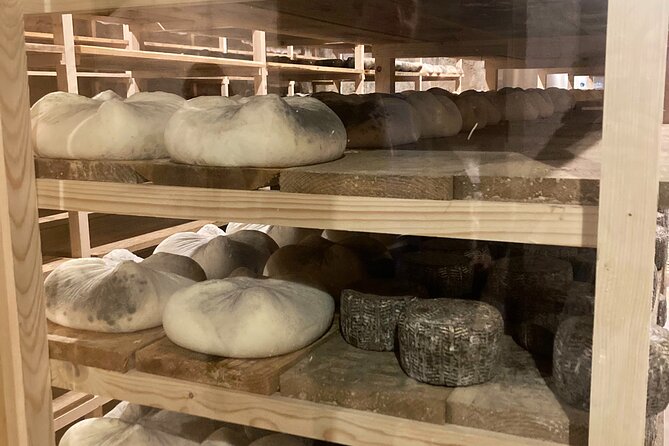 Cheese Factory Workshop with Wine Tasting in Requena, Valencia - Cheese Workshop: create your own cheese in a family operation