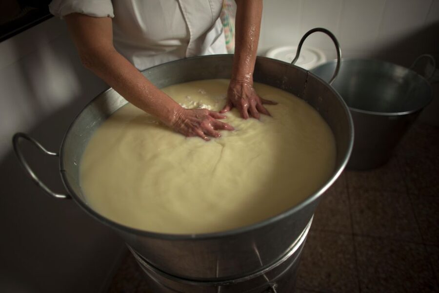 Cheese Making and Tasting Tour from Cagliari with Lunch - Key Highlights You’ll Actually Care About