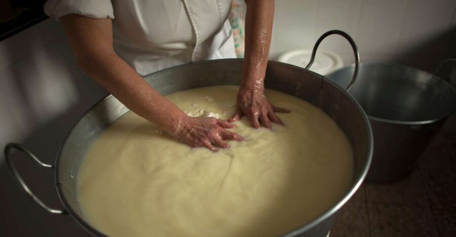 Cheese Making and Tasting Tour from Cagliari with Lunch - Who should book this tour (and who might prefer something else)