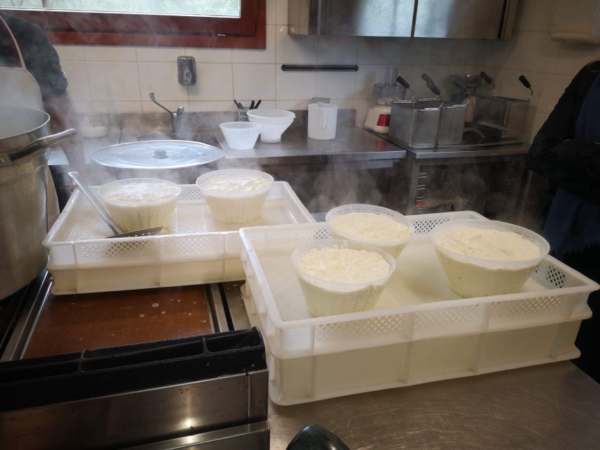 Cheese Making and Tasting Tour from Cagliari with Lunch - Should you book? My practical take