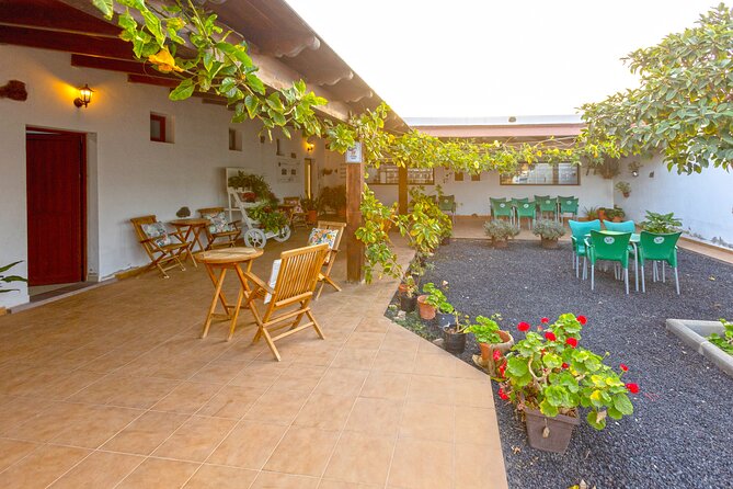 Cheese Making Workshop in Fuerteventura with Breakfast - Welcome coffee, farm intro, then right into milking