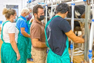 Cheese Making Workshop in Fuerteventura with Breakfast - 8:00 am meeting point at Quesería La casa del Queso: plan your morning