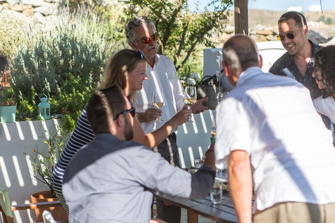 Cheese & Wine Trails - Naxos - The Vineyard Visit: Local Vines and Traditional Winemaking in Plain Language