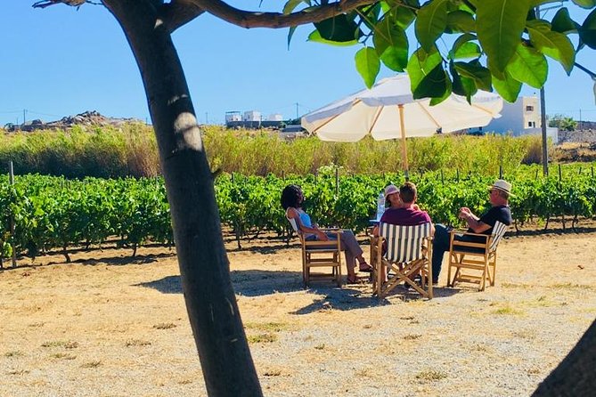 Cheese & Wine Trails - Naxos - What You’re Really Buying for $330.39: Value in Work, Not Just Product