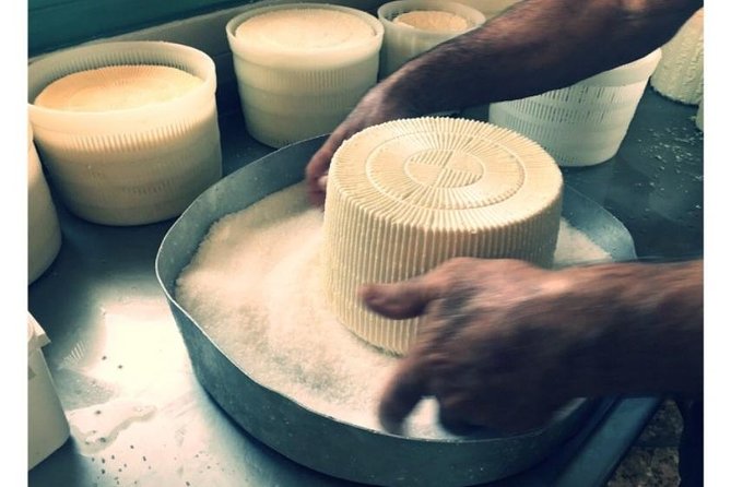 Cheese & Wine Trails - Naxos - Who This Tour Fits Best