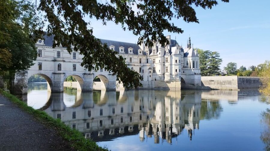 Chenonceau: guided ebike ride and wine & cheese picnic lunch - Wine and cheese picnic lunch in Chenonceau’s forest