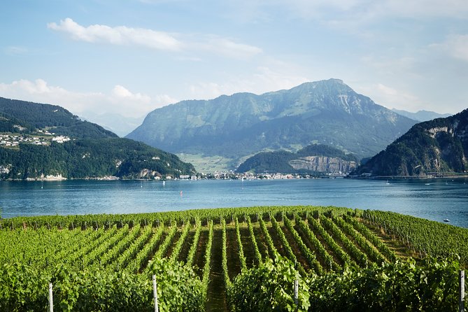 Chocolate, Cheese and Wine Tour in Luzern region - Price and logistics: does $879.41 make sense?