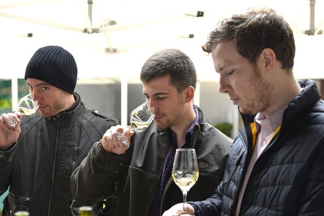 Clotilde Davenne wine and cheese pairing tasting in Chablis - Boutique Clotilde Davenne in Chablis: the setting and how you’ll experience it