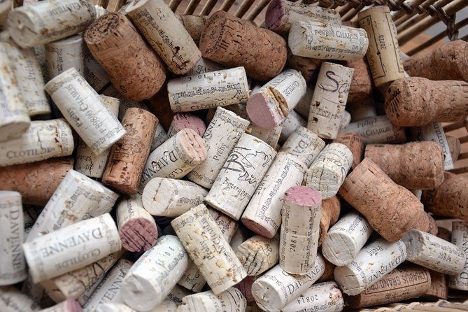 Clotilde Davenne wine and cheese pairing tasting in Chablis - Price and value: is $23.83 per person a fair deal?
