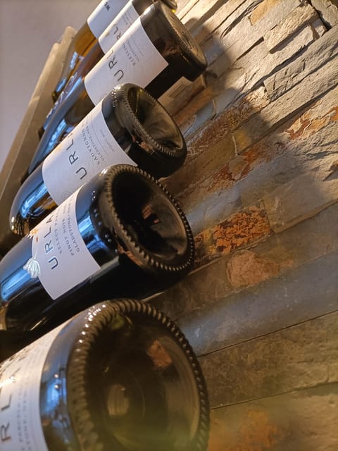 Como: Wine Tasting Experience with Cheese and Cold Cuts - The practical way to get more out of your tasting
