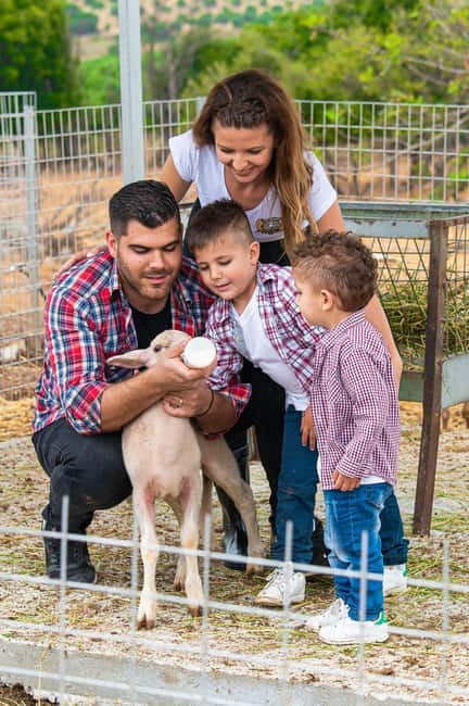 Crete: Farm Visit with Cheese Tasting and Milking Experience - Key things that make this farm visit worth your time