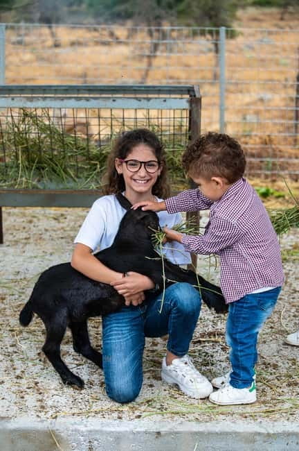 Crete: Farm Visit with Cheese Tasting and Milking Experience - Outdoor breaks: lake time, herbal garden, and veggies you can taste