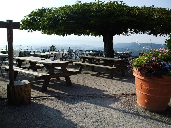 Culinary Tour from Zurich with Traditional Swiss Cheese Fondue Dinner - Key highlights at a glance