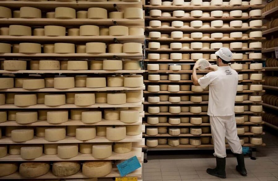 Dairy Tour with Cheese Tasting & Prosecco near Treviso - Who should book this cheese and Prosecco tour near Treviso?