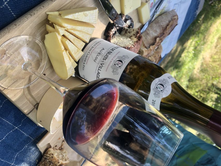 Dijon: Cheese and Burgundy Wine Tasting Workshop - Should you book this Dijon cheese and Burgundy wine tasting?