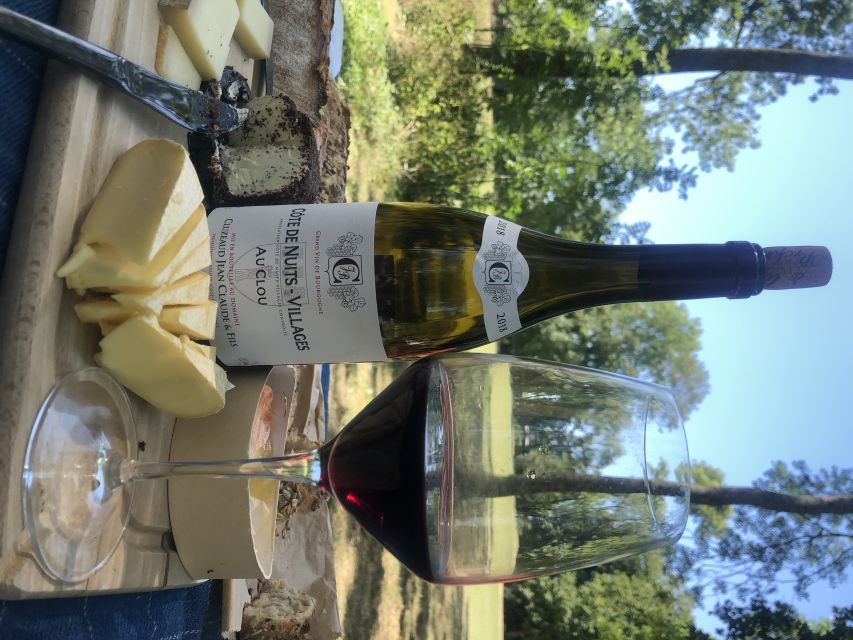 Dijon: Cheese and Burgundy Wine Tasting Workshop - What to bring (and how to get the most out of the session)