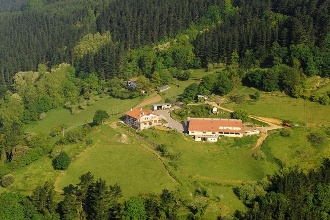 Discover the Art of Idiazabal Cheese in the Basque Country - Cheese in San Sebastián’s Backcountry: Why This Tour Works