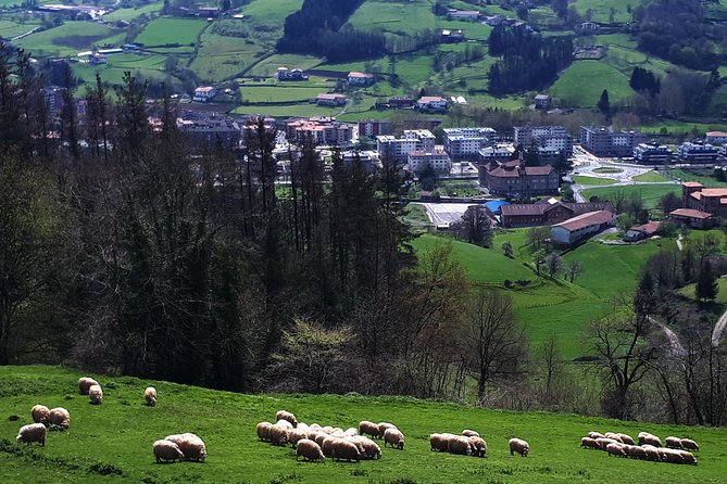 Discover the Art of Idiazabal Cheese in the Basque Country - Price and Value for $174.60: What You’re Actually Paying For