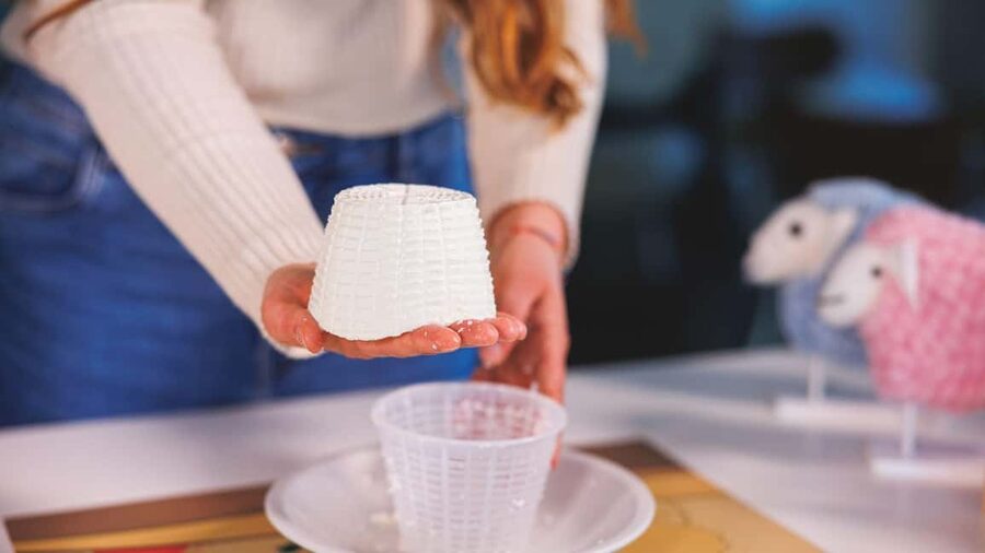 Dolianova: visit and workshop in a cheese factory - Quick reasons to go