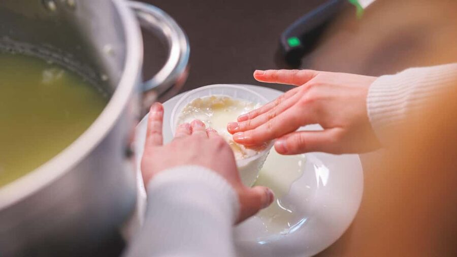Dolianova: visit and workshop in a cheese factory - FAQ