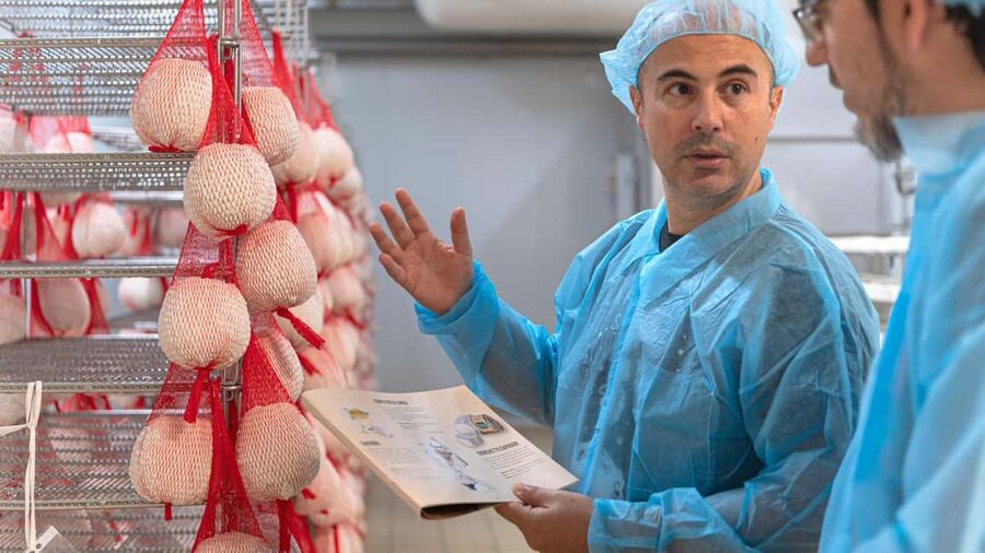 Dolianova: visit and workshop in a cheese factory - The tasting: 3 to 4 cheeses, and why wine matters here