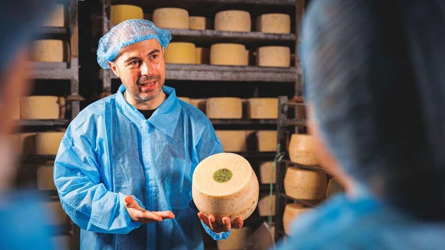 Dolianova: visit and workshop in a cheese factory - Price and value: is $84 a fair deal for 2.5 hours?