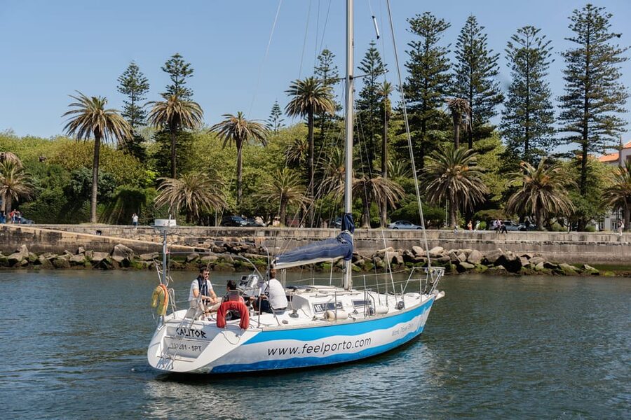 Douro River Cruise with Cheese & Tonic Porto in a Sailboat - Arrábida Bridge and the run past Palácio de Cristal gardens