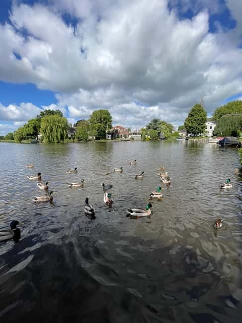 Dutch Countryside: , windmills, Villages, Cheese & Clogs - Who This Tour Fits Best
