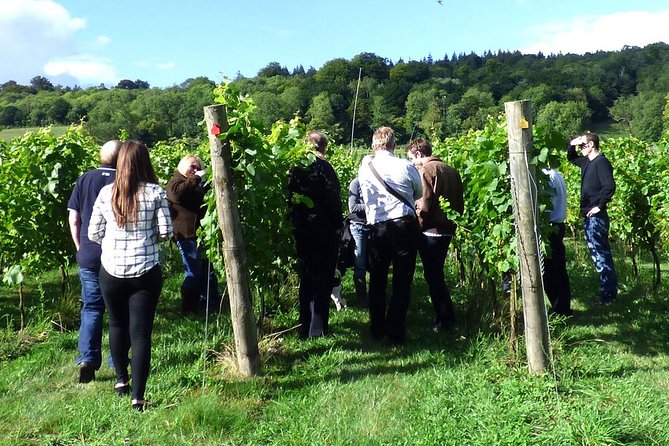 English Wine and Cheese Tour from London - Who this tour suits best