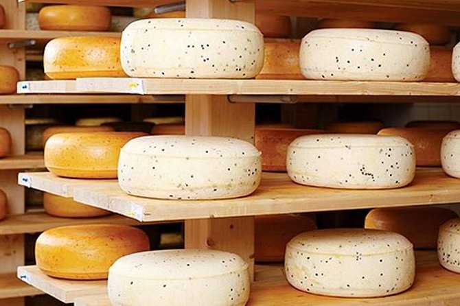 Ensenada Shore Excursion: Wine and Cheese Tour with Lunch in Ojos Negros Valley - Key things to know before you go
