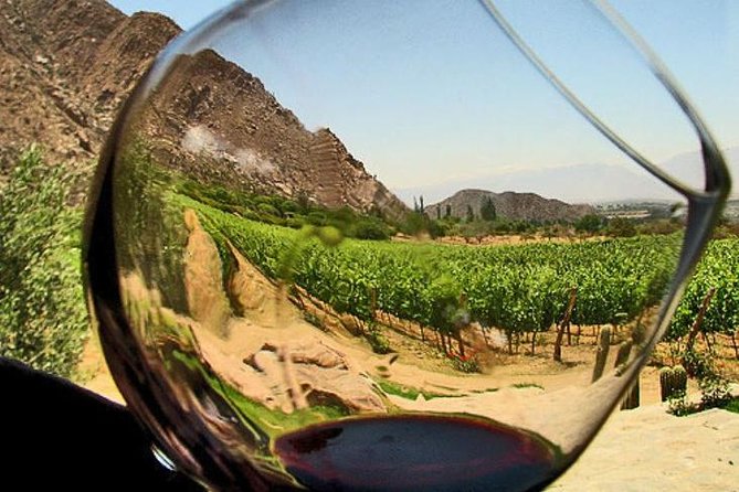 Ensenada Shore Excursion: Wine and Cheese Tour with Lunch in Ojos Negros Valley - San Rafael winery: three wines and a small-vineyard tempo