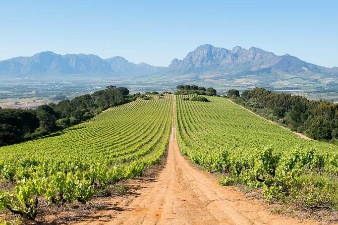 Experience 16 Wine Tasting & 6 Cheese Pairing across 3 Vineyards - The day’s flow: timing, transport, and how to get the best from it