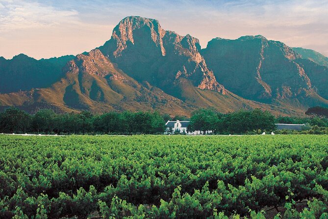 Experience 16 Wine Tasting & 6 Cheese Pairing across 3 Vineyards - Stop 2: Lanzerac Wine Estate for Pinotage and Chardonnay and a classic estate stroll