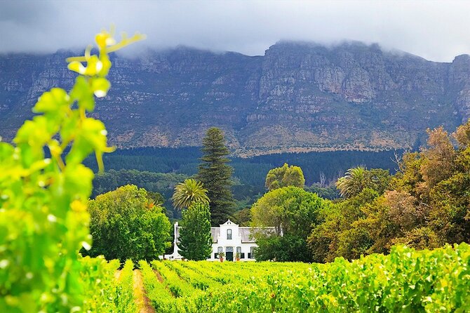 Experience 16 Wine Tasting & 6 Cheese Pairing across 3 Vineyards - Stop 3: Vredenheim Wine Farm, mountain views, and animal-farm fun