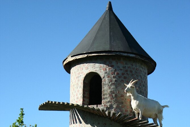 Experience 16 Wine Tasting & 6 Cheese Pairing across 3 Vineyards - What makes this tour feel worth it (beyond the winery names)
