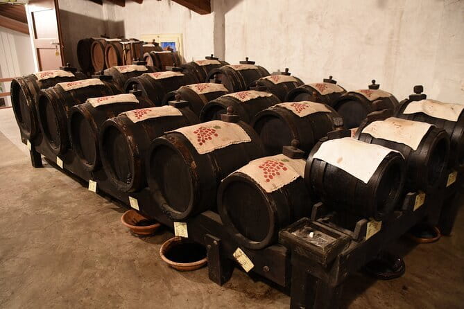 Ferrari Parmesan Cheese Balsamic Vinegar wine & food PRIVATE TOUR from FLORENCE - Lunch and Lambrusco: what’s built in and what’s on you