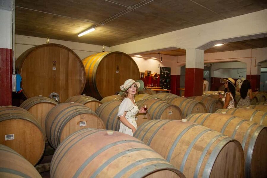 Florence: The secret of wine, cheese and olive oil at a farm - Florence to Chianti: how the day actually starts
