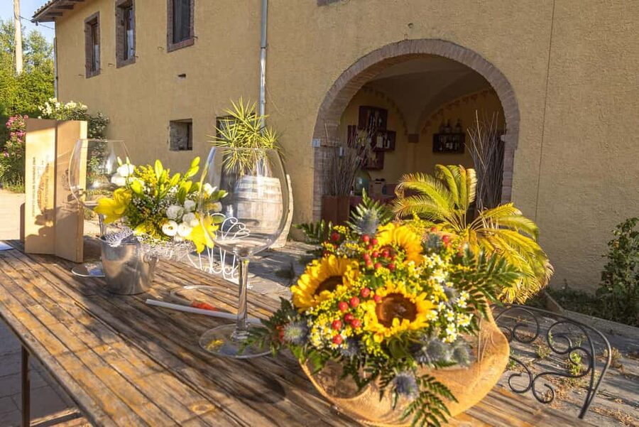 Florence: The secret of wine, cheese and olive oil at a farm - What to watch for: the one downside that keeps coming up
