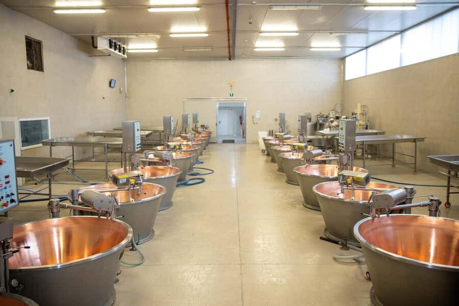 Formigine: Parmesan cheese tour with full tasting - Key Things I’d Put On Your Short List
