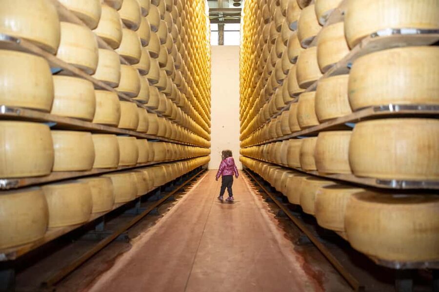Formigine: Parmesan cheese tour with full tasting - Parmigiano Reggiano at Azienda Agricola Moscattini: What You Actually See