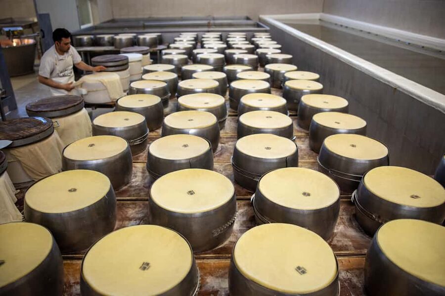 Formigine: Parmesan cheese tour with full tasting - Price and Value for a 90-Minute Parmigiano Experience