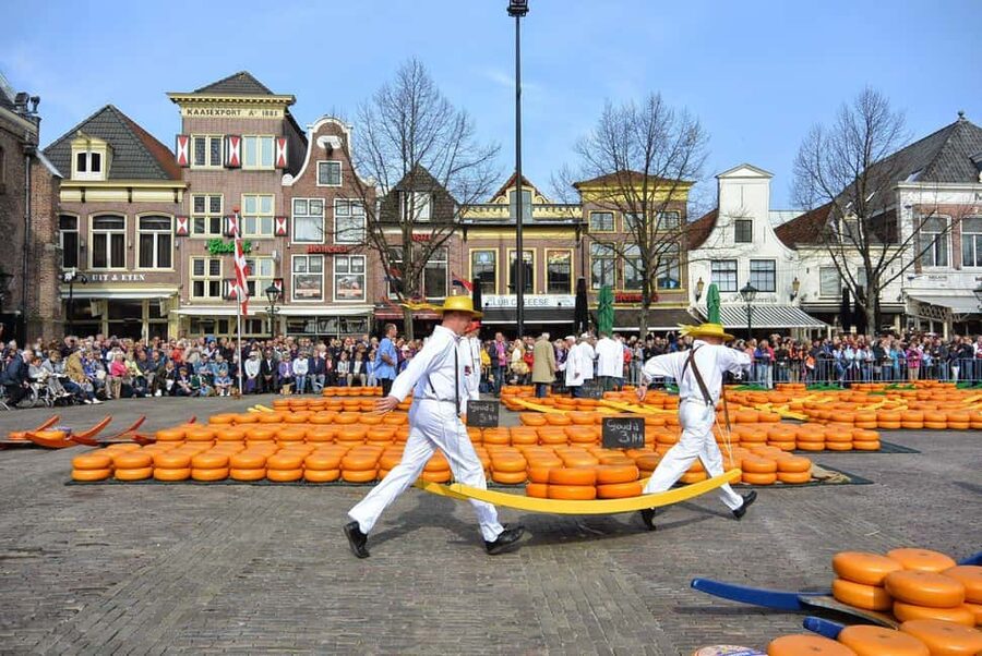 From Amsterdam; Alkmaar Cheese market & Zaanse Schans - Key takeaways for a smooth cheese-and-windmills day