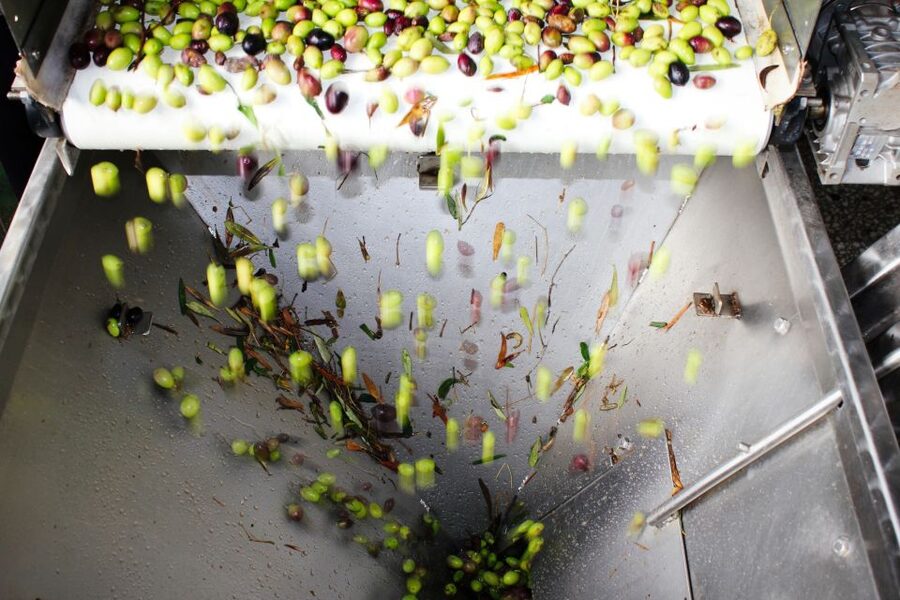 From Athens: Wine, Oil, & Cheese Tasting in Nemea & Argolis - Key highlights to know before you go