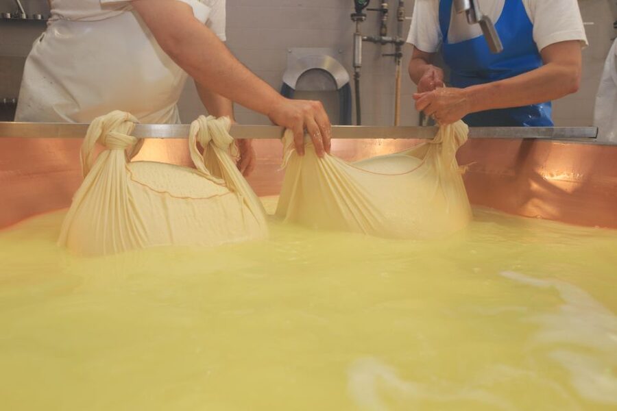 From Bologna: Parma Cheese & Ham Factory Tours and Tastings - Bologna to Parma by train: the day starts with motion, not stress