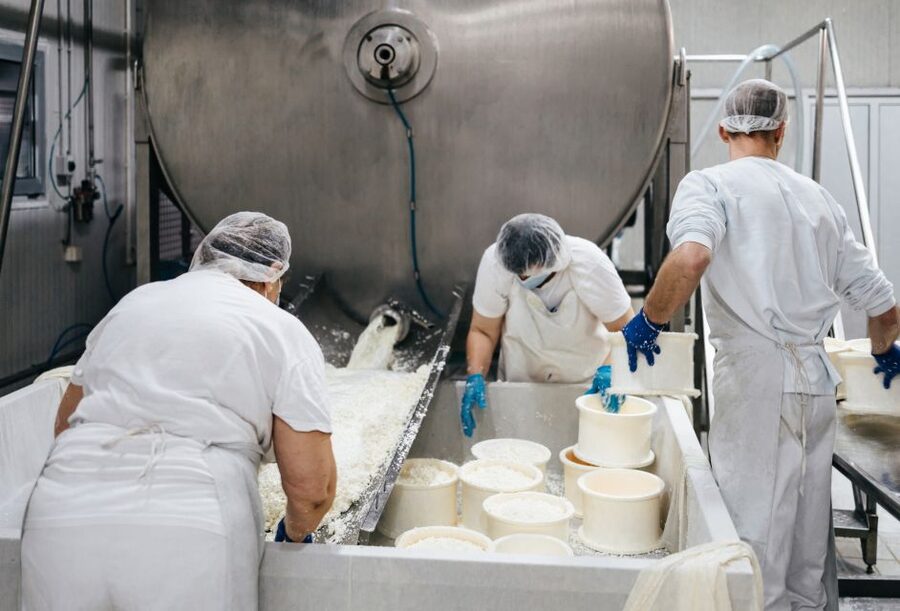 From Bologna: Parma Cheese & Ham Factory Tours and Tastings - Parma ham producer visit: selecting legs, then sugnatura and tapping