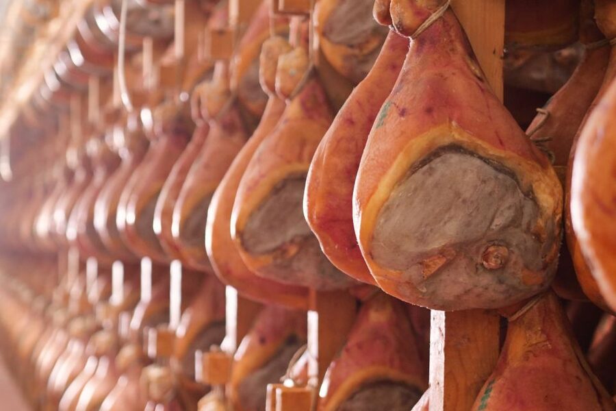 From Bologna: Parma Cheese & Ham Factory Tours and Tastings - Wine and ham tasting: pairing cured flavors with Emilia-Romagna hills