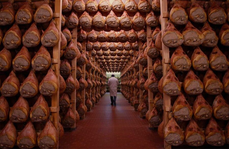 From Bologna: Parma Cheese & Ham Factory Tours and Tastings - What you’re paying for: is $178.99 good value?