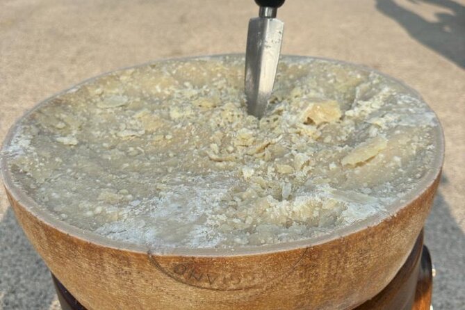 From Bologna: Parmesan Cheese & Balsamic Vinegar Tour+Lunch - What You’ll Notice Fast