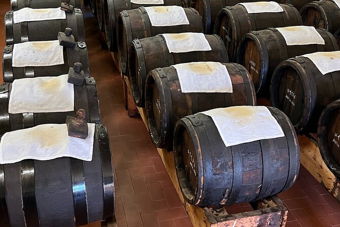 From Bologna: Parmesan Cheese & Balsamic Vinegar Tour+Lunch - Cheese Factory Visit: Parmigiano Reggiano Making You Can Actually See
