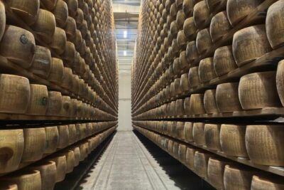 From Bologna: Parmesan Cheese & Balsamic Vinegar Tour+Lunch - Getting from Bologna: Air-Conditioned Pickup and a Tight Schedule